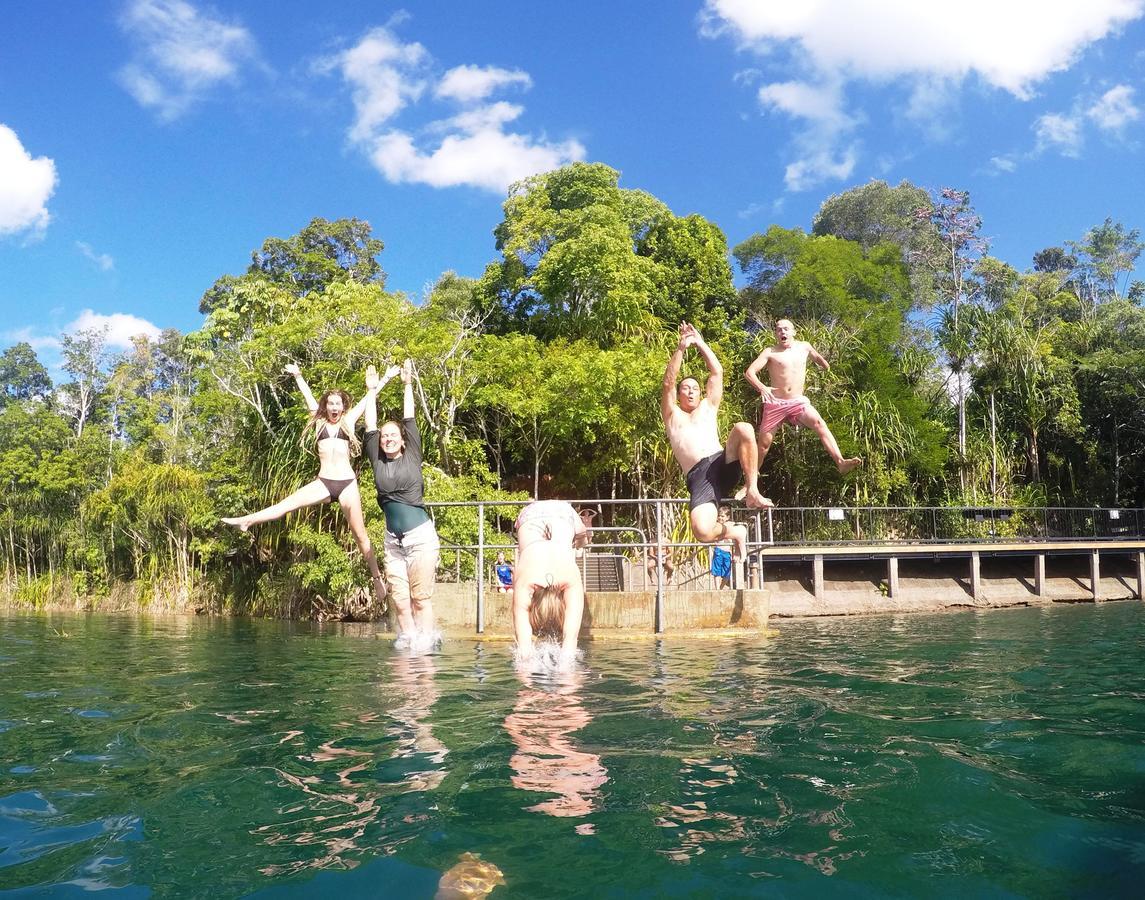 On The Wallaby Eco Lodge Yungaburra Exteriör bild